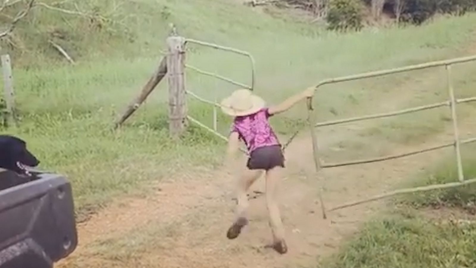 VIDEO: Girl struggling to close the gates on her farm is us trying to get through the week