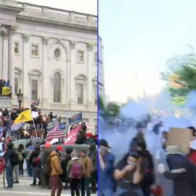 VIDEO: ‘If it were black people’ at Capitol, ‘it would have been a massacre’: BLM co-founder