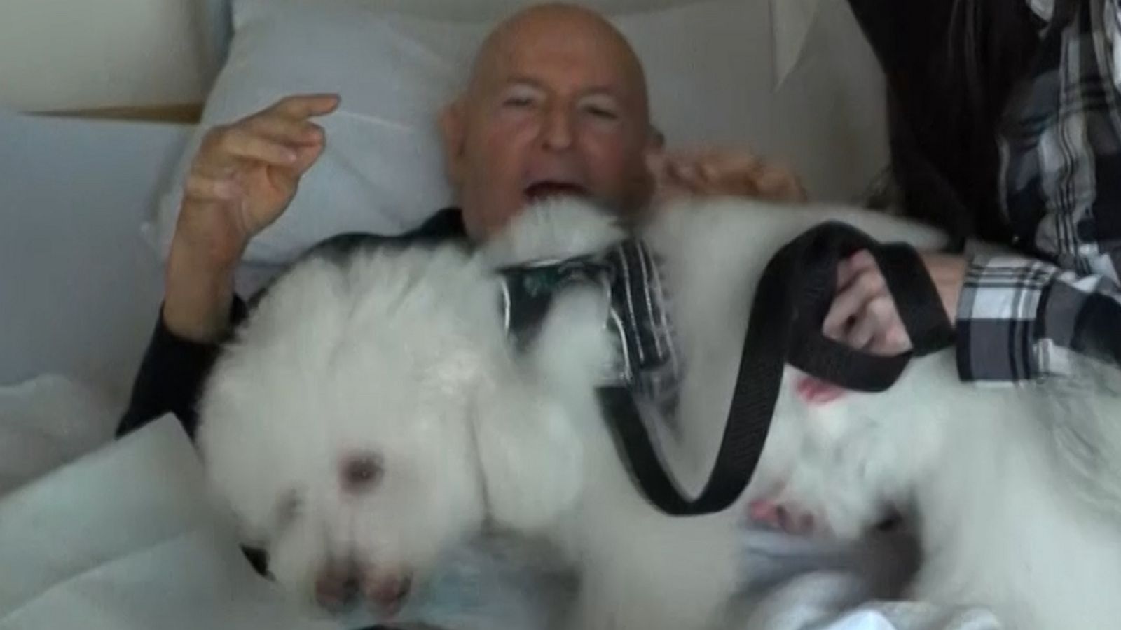 VIDEO: Dogs provide much-needed love and affection at this nursing home during the pandemic