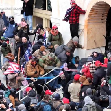 VIDEO: Who are the people who stormed the capitol?