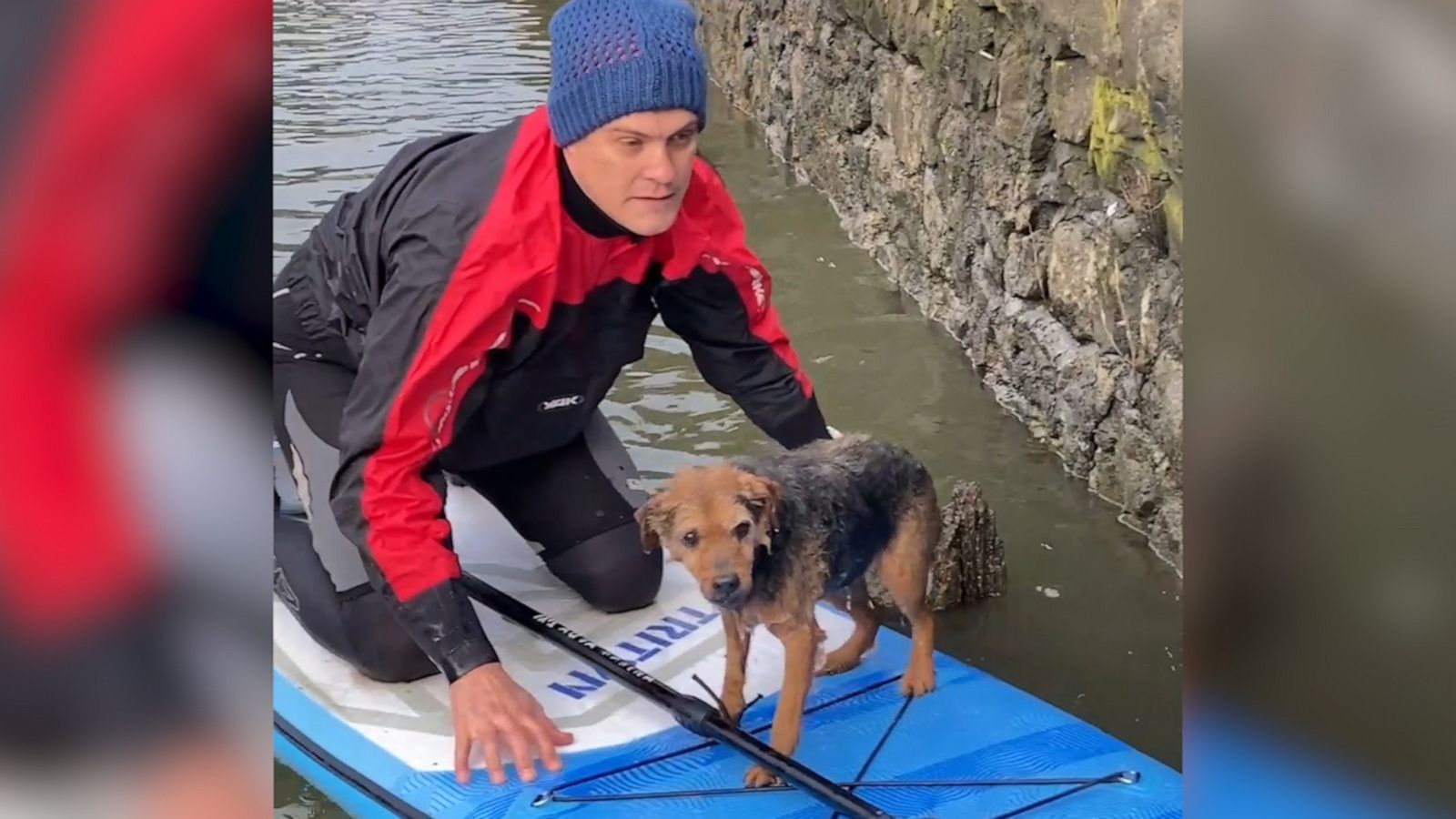 VIDEO: Paddleboarder rescues dog from River Thames