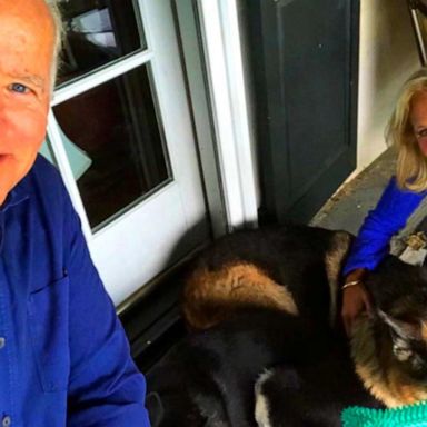 VIDEO: Bidens bring 2 dogs to the White House