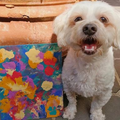 VIDEO: How to turn your pup into an artist…with peanut butter