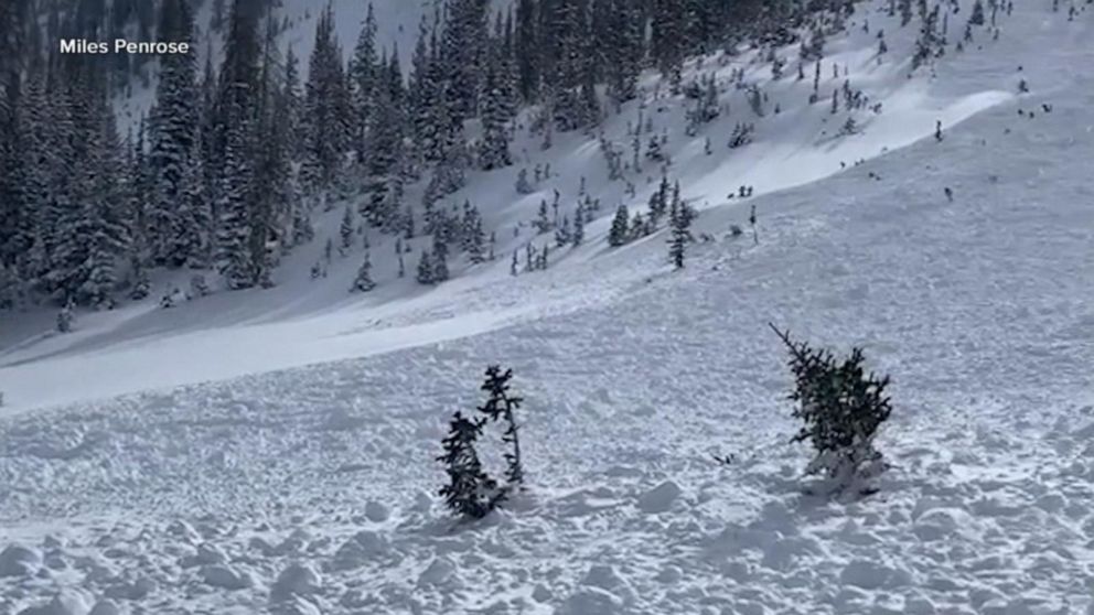 Video Massive avalanche caught on camera - ABC News