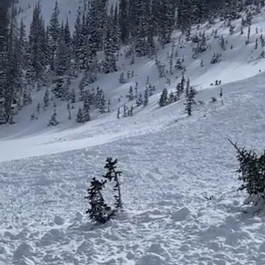 VIDEO: Massive avalanche caught on camera