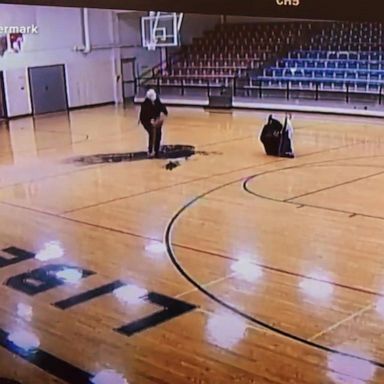 VIDEO: Custodian nails basketball trick shot