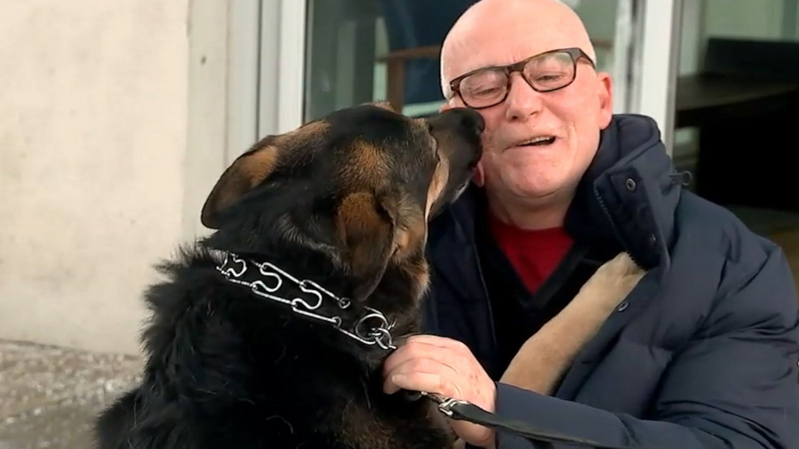 VIDEO: This man rescued a dog. Then, the dog rescued him