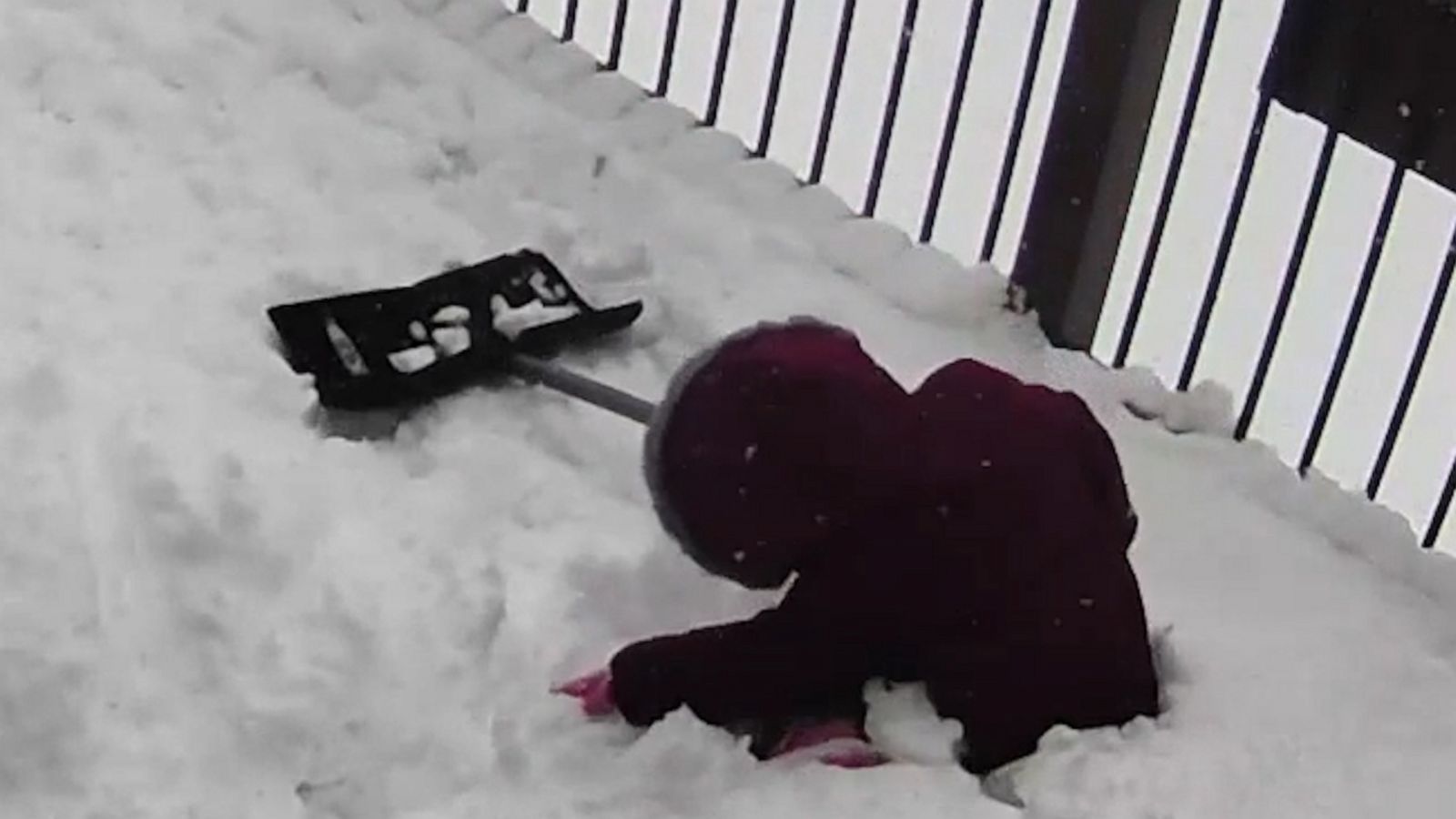 VIDEO: 4-year-old girl helping her dad shovel the snow is the best helper