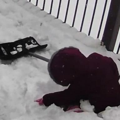 VIDEO: 4-year-old girl helping her dad shovel the snow is the best helper 