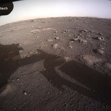 VIDEO: Spectacular images sent from Perseverance rover on Mars