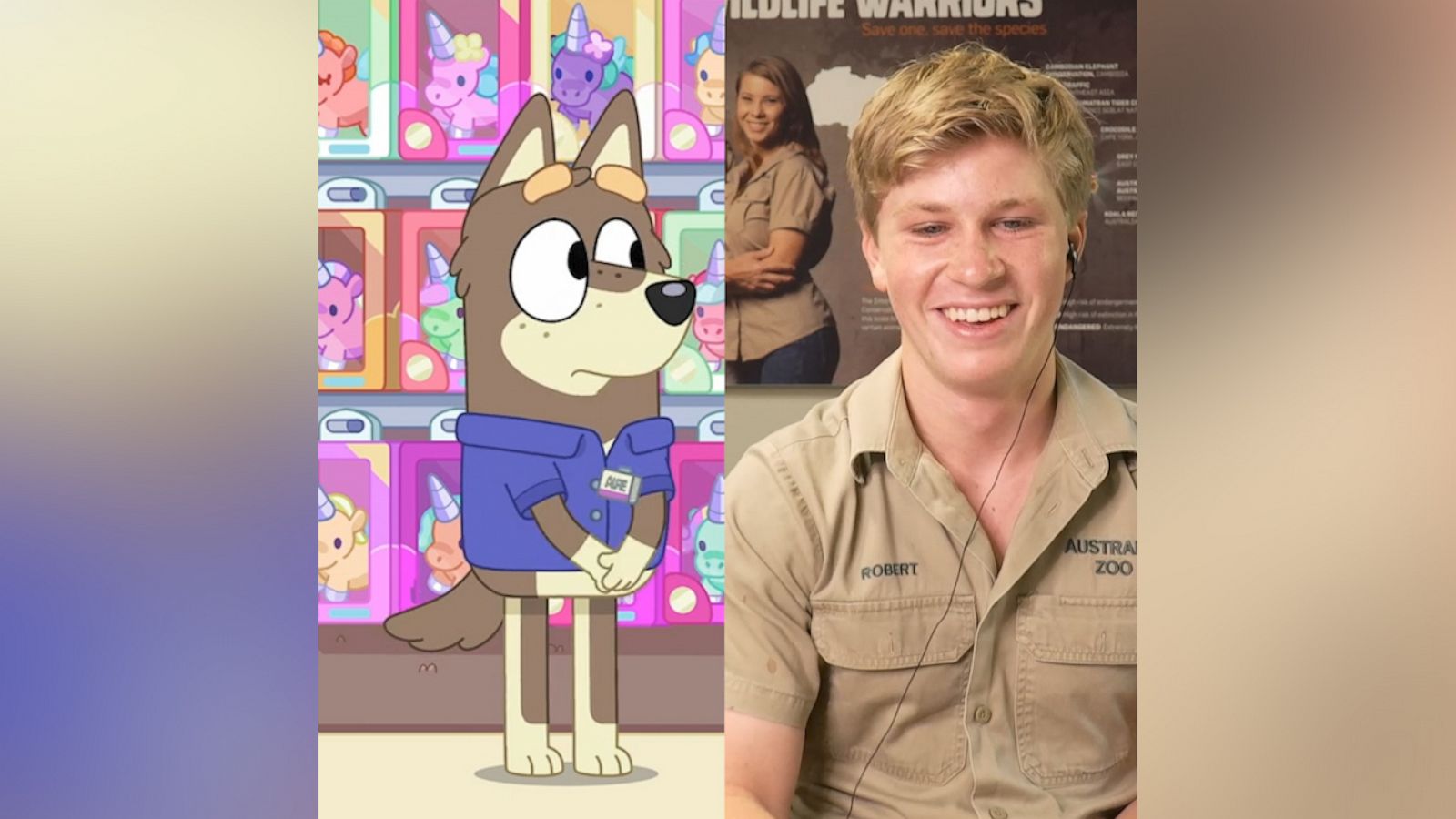 VIDEO: Robert Irwin can't wait to show his niece his role on Disney+'s 'Bluey'