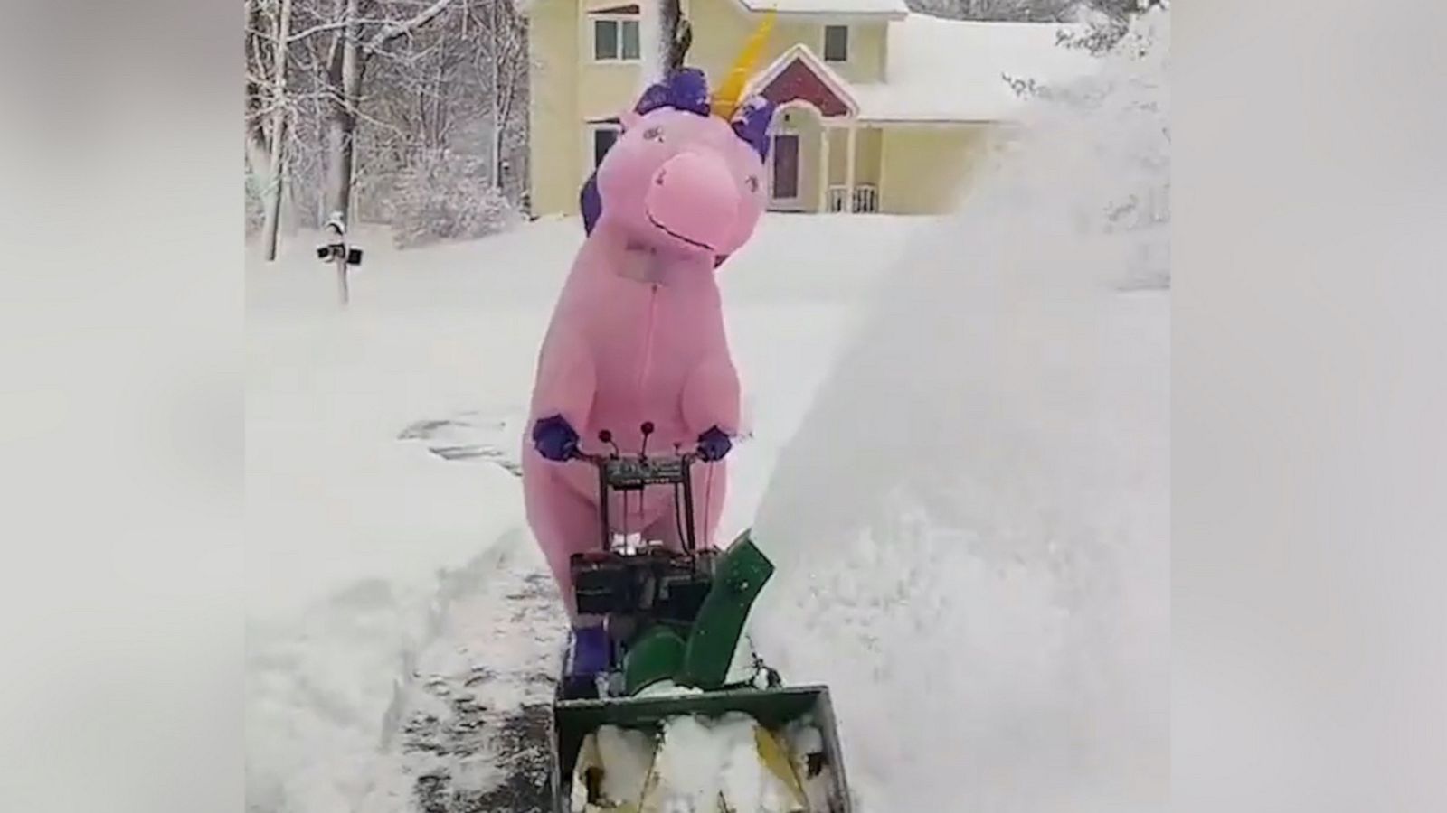 VIDEO: Woman dressed as unicorn ‘magically’ clears snow from driveway