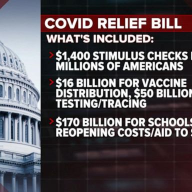 VIDEO: Biden's COVID-19 relief package faces tough road in Senate