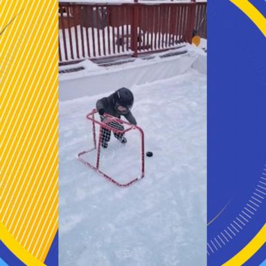 VIDEO: Adorable boy scores hockey goal