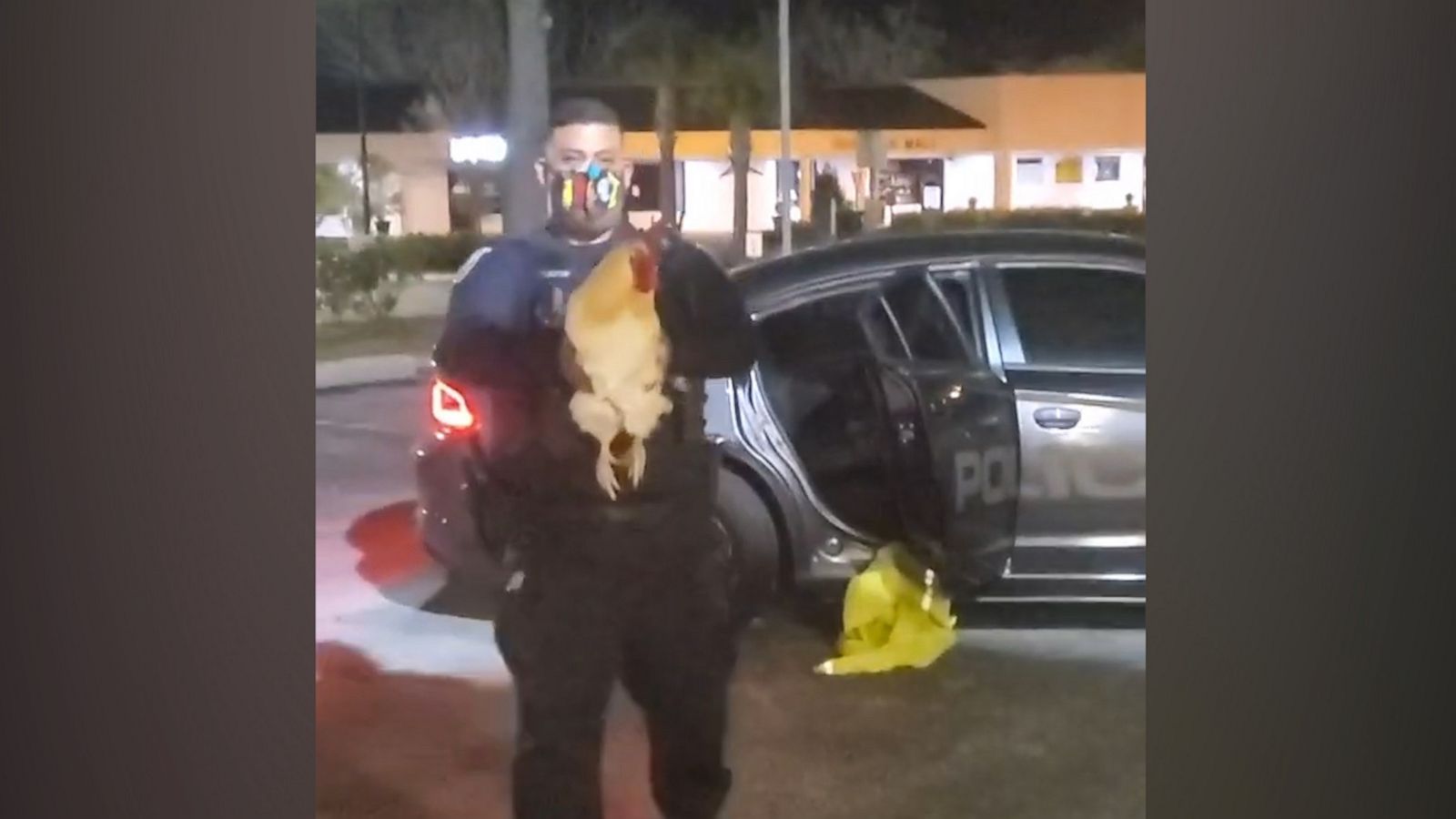 VIDEO: Stolen pet rooster returned to ecstatic Florida woman