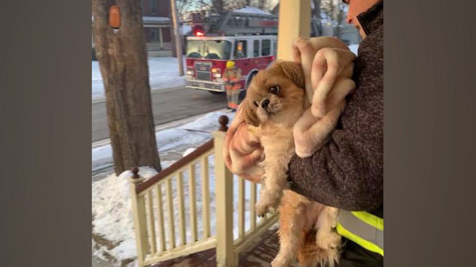 VIDEO: This is the dramatic moment before a dog was saved from a burning house