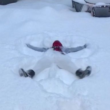 VIDEO: Chicagoans get creative taking Special Olympics Polar Plunge virtual