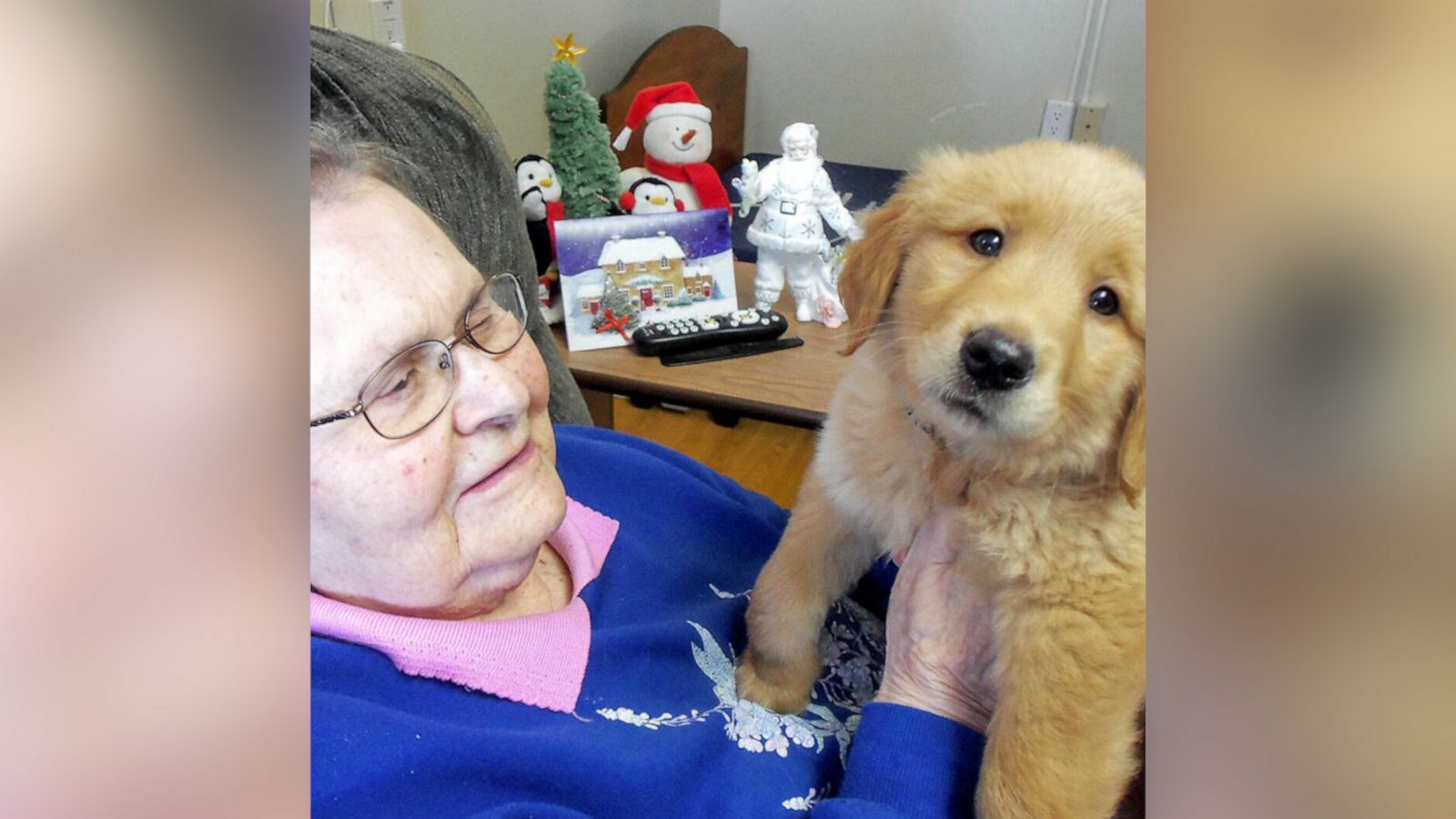 VIDEO: This nursing home has its own adorable resident puppy