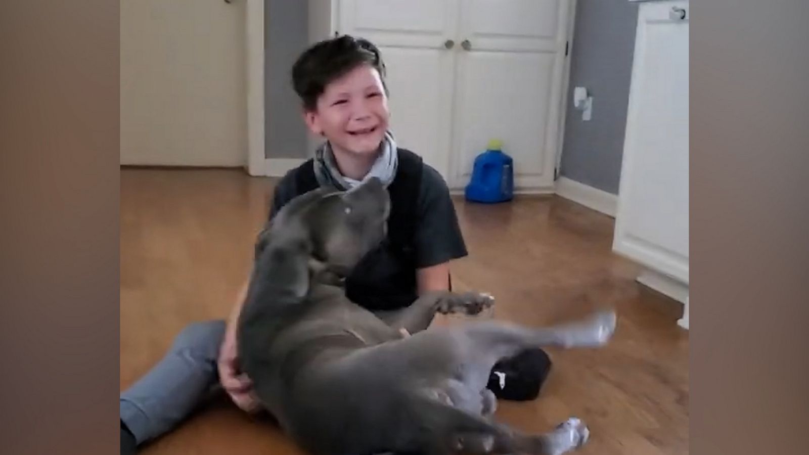 VIDEO: Emotional video of boy reuniting with dog missing for two months