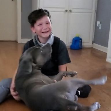 VIDEO: Emotional video of boy reuniting with dog missing for two months