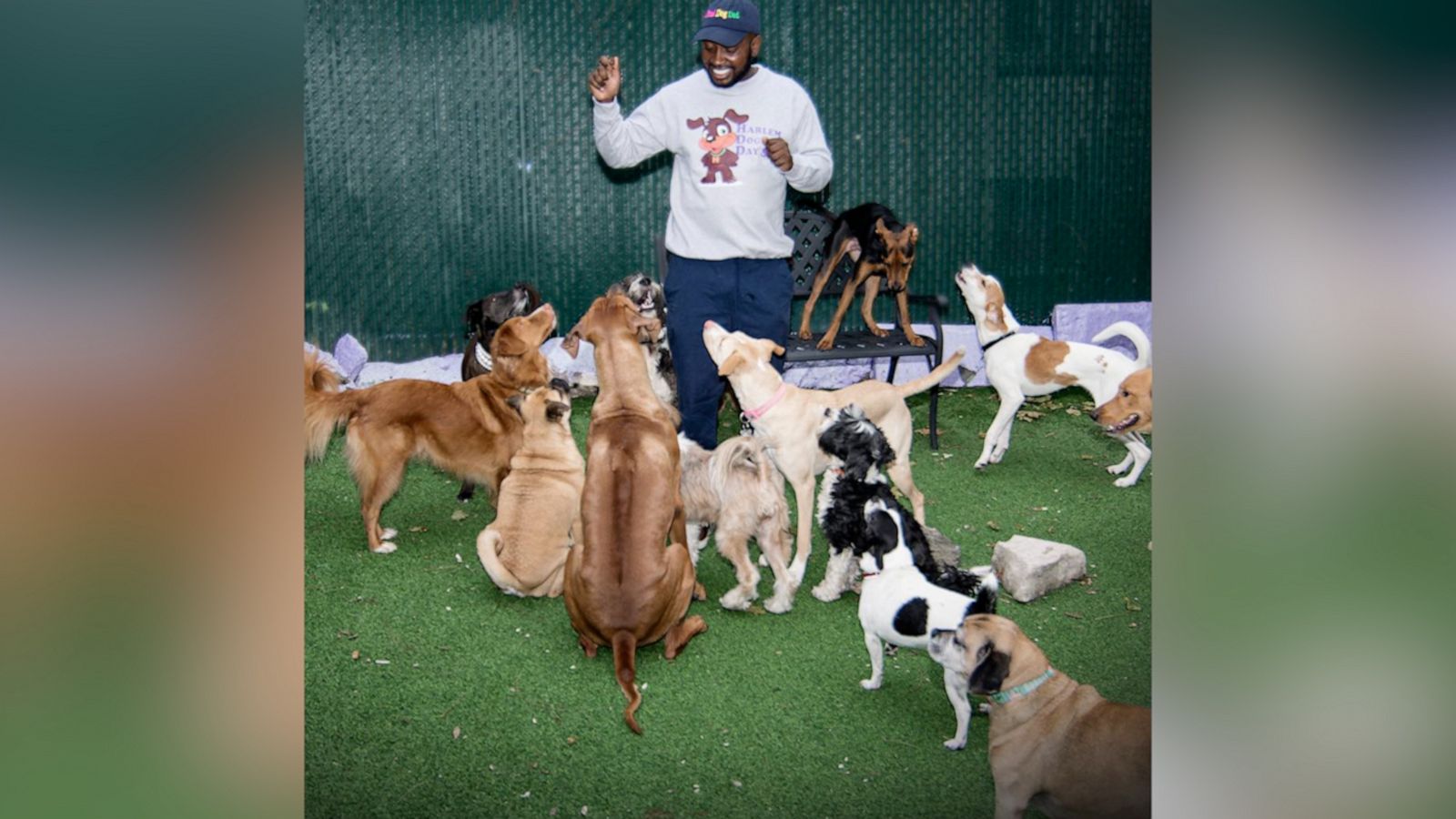 VIDEO: The 'Dogfather of Harlem' travels cross-country helping pet parents in need