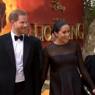 VIDEO: Paparazzi giant files for bankruptcy amid Meghan, Harry legal battle