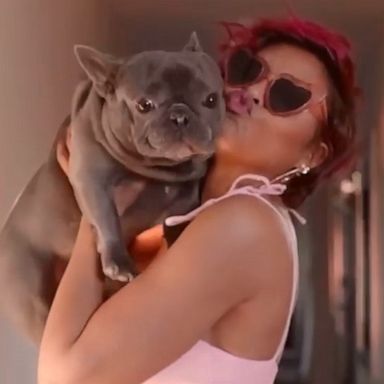 VIDEO: Taraji P. Henson mourns death of K Ball, her beloved frenchie pup: ‘I am a wreck’