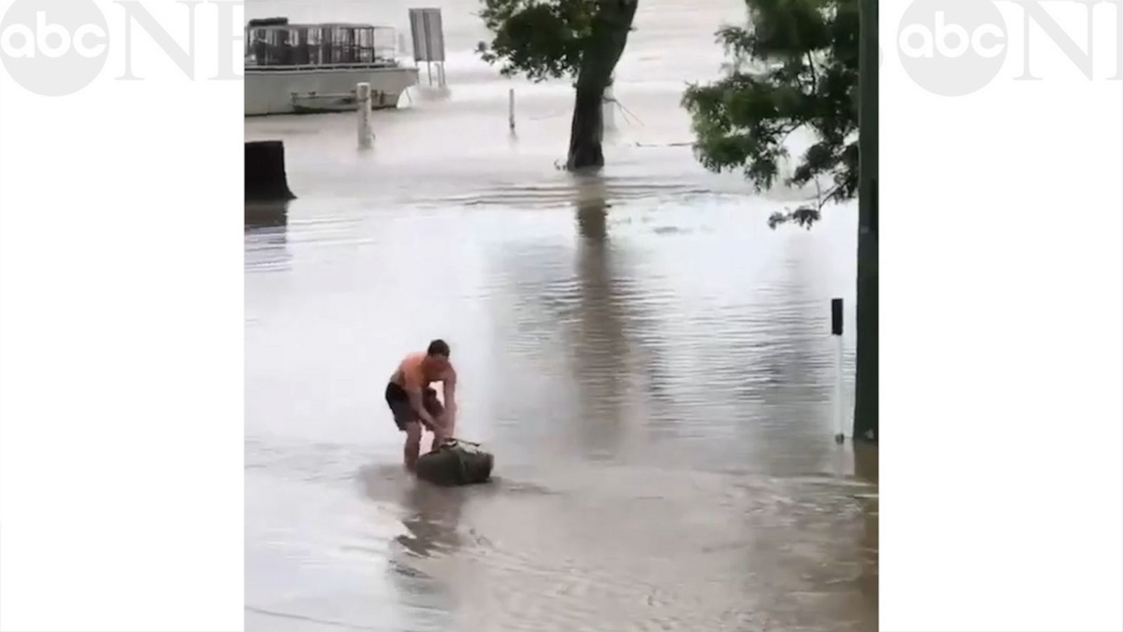 VIDEO: Stingray gets pulled to safety from flood waters