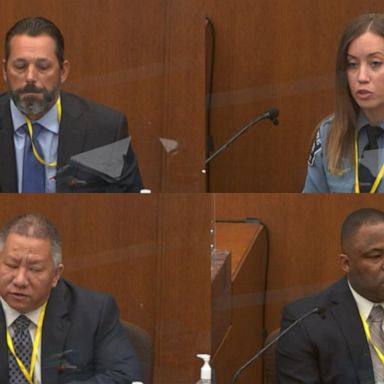 VIDEO: Stream of officers take the stand in George Floyd murder trial 