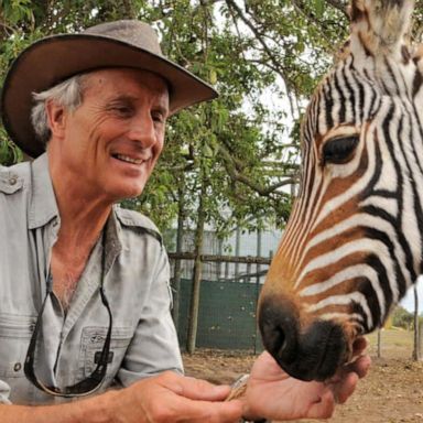 VIDEO: Beloved Columbus Zoo director Jack Hanna’s dementia diagnosis