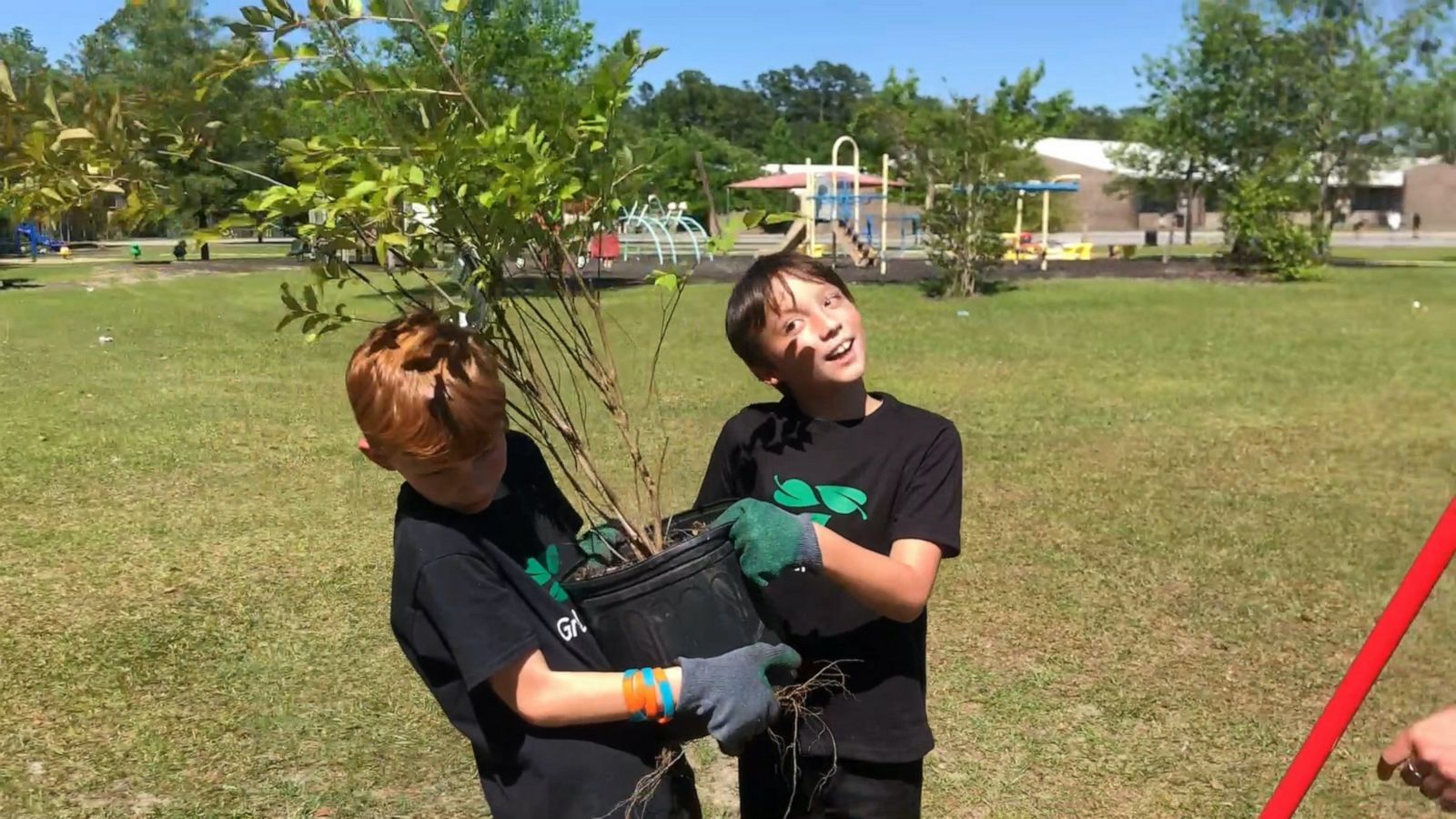 VIDEO: 4th-grade students create a tree-planting club to help school be more eco-friendly