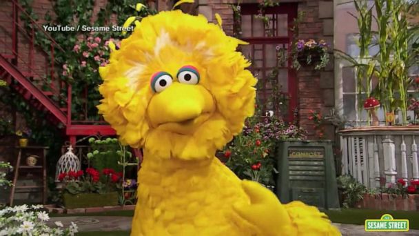 Video Catching up with Big Bird - ABC News