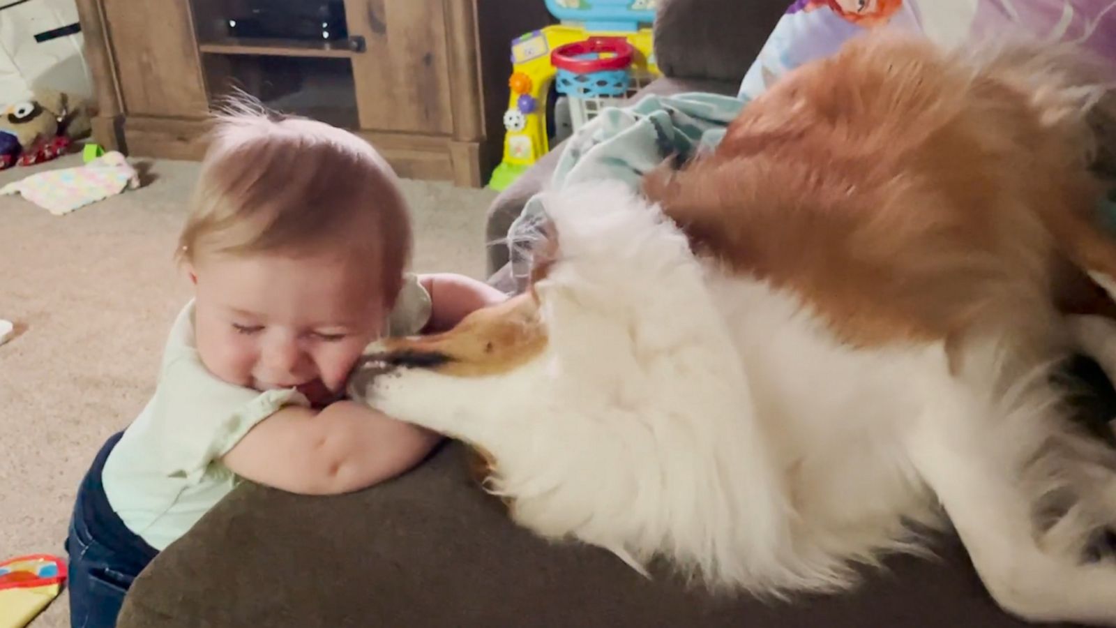 VIDEO: Dog showers baby best friend with tons of kisses