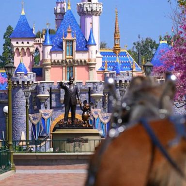 VIDEO: Disneyland reopens after more than a year