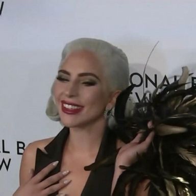 VIDEO: 5 arrested in Lady Gaga dognapping case