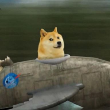 VIDEO: What to know about Dogecoin craze