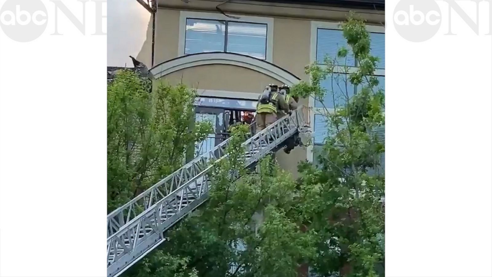 VIDEO: Dog saved from apartment complex fire in Texas