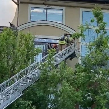 VIDEO: Dog saved from apartment complex fire in Texas 