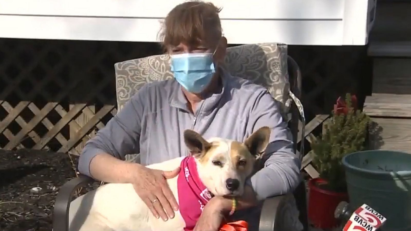 VIDEO: Mom and cutest Basenji mix reunited after being a lost dog for 5 years