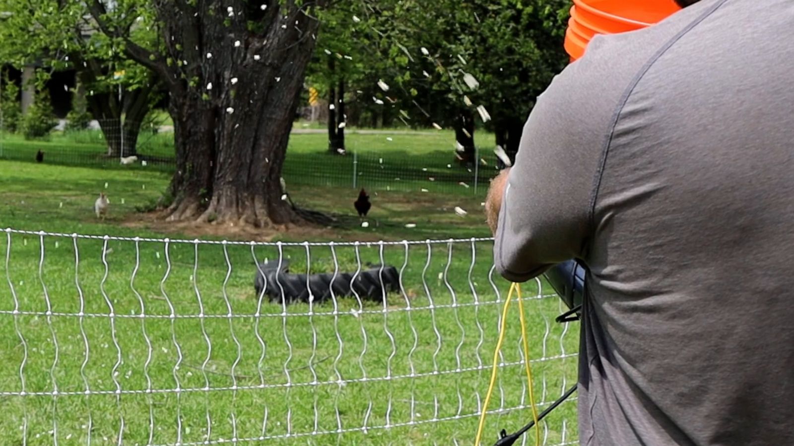 VIDEO: Man makes hilarious ‘popcorn blaster’ out of a leaf blower to feed chickens