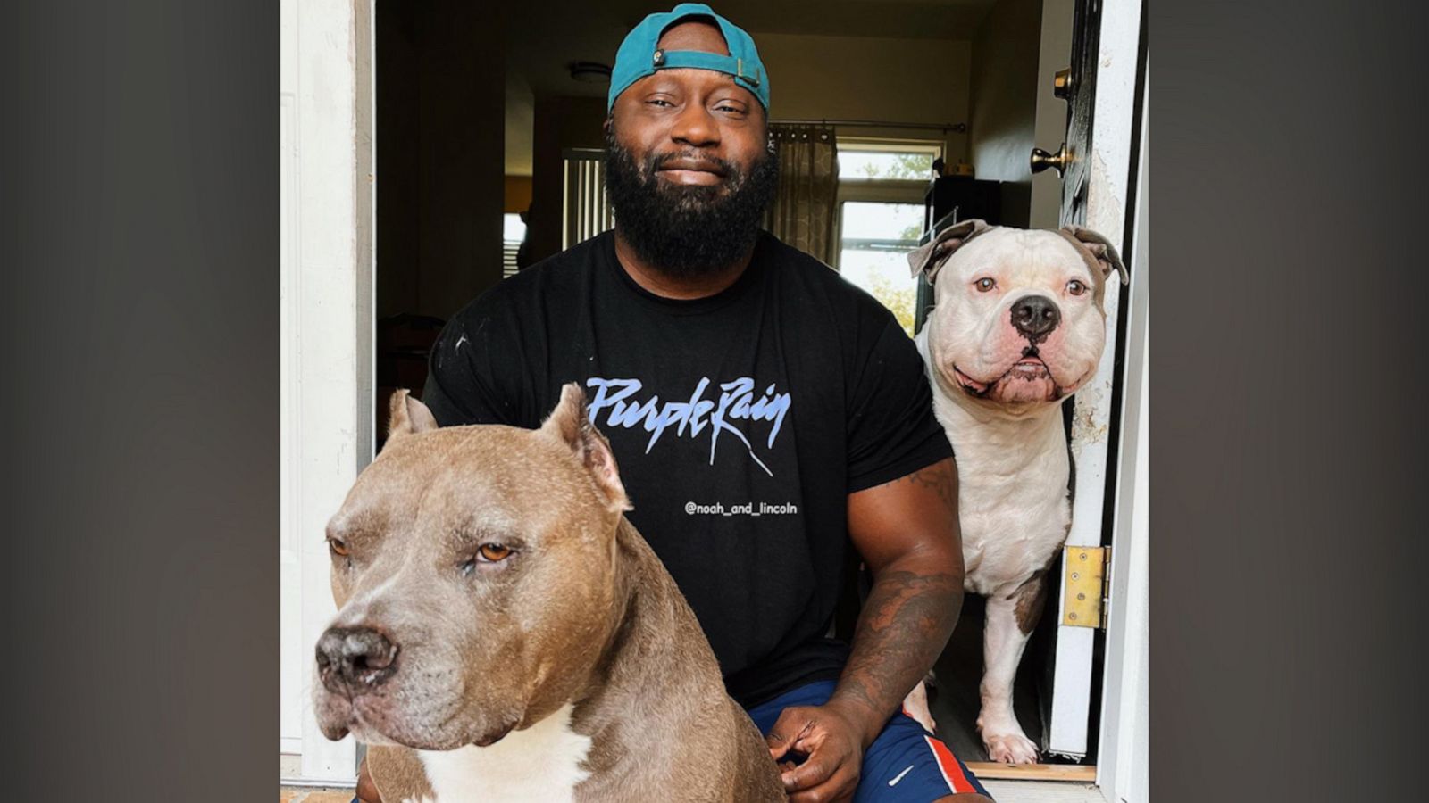 VIDEO: Military vet and his pit bulls are changing misconceptions about dogs — and people