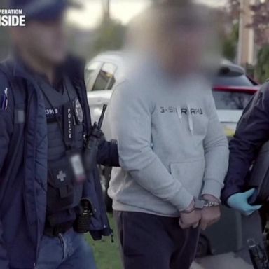 VIDEO: Hundreds arrested in organized crime global sting