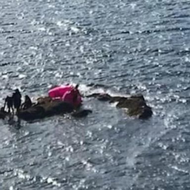 VIDEO: Coast Guard rescues adults and dogs trapped on floaty device