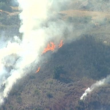 VIDEO: Wildfires and record-breaking heat hit parts of the Western US