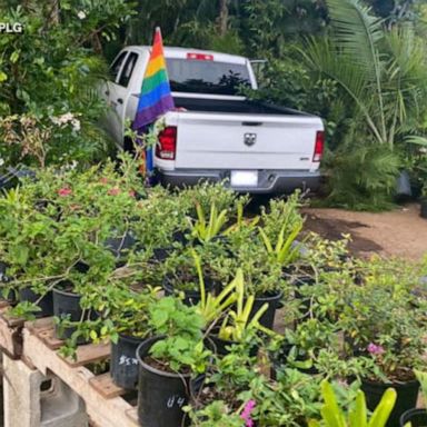 VIDEO: Truck plows through South Florida Pride parade