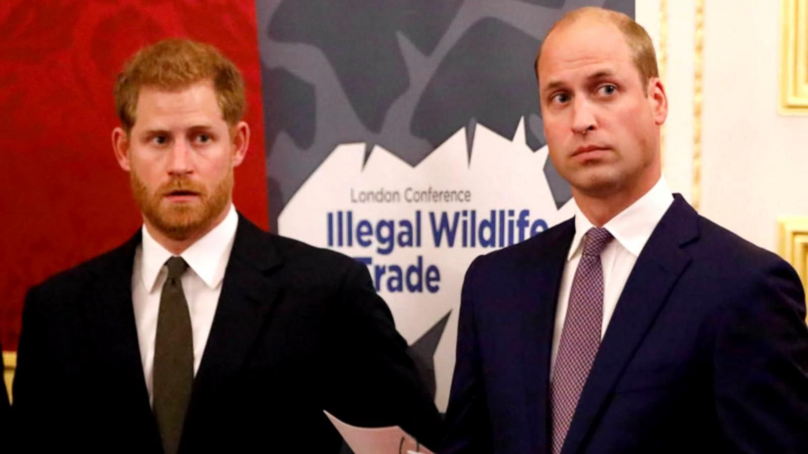 VIDEO: New book details royal rift between Princes William and Harry