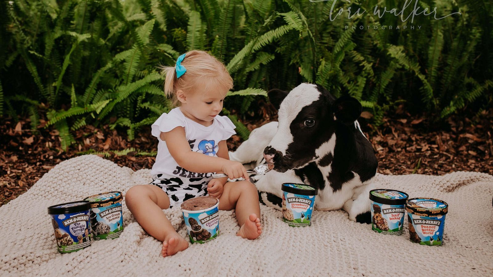 PHOTO: 19-month-old Tanner posed with a baby calf.