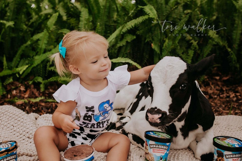 PHOTO: Tanner and the baby calf posing at Lissa's Little Moos in Mulberry, FL.