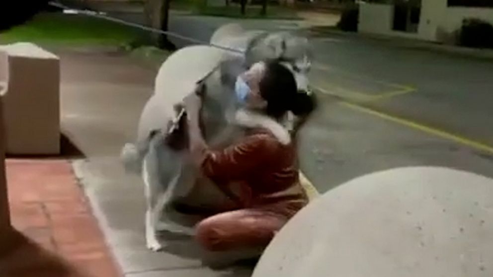 VIDEO: Dog has the sweetest reunion with her owner after missing for two months 