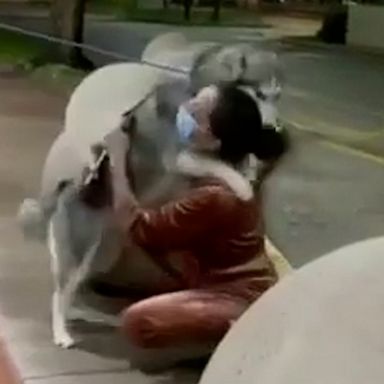 VIDEO: Dog has the sweetest reunion with her owner after missing for two months 